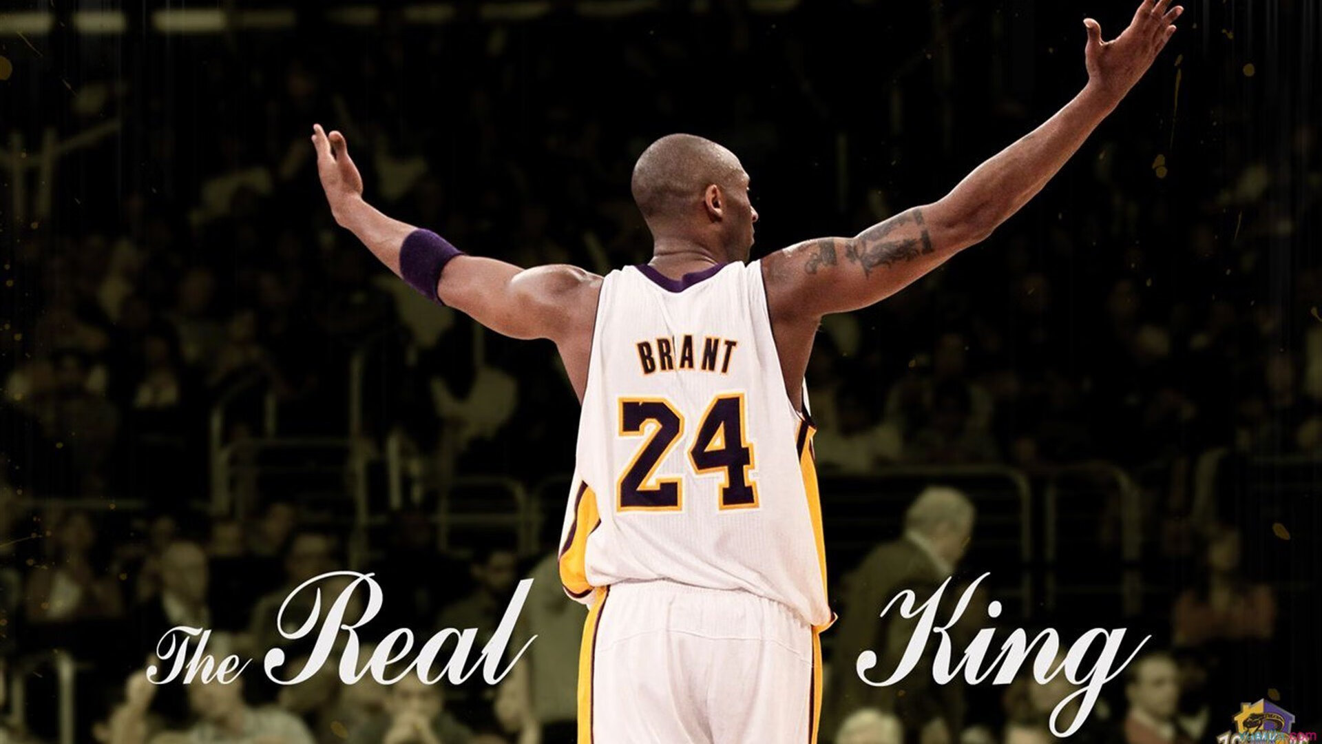 NBA联盟赛事数据分析及智能辅助决策系统,nba联盟官网