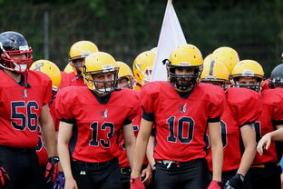 爱游戏平台-中超球员年度射门类型结构分类，足球门将射门