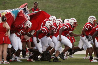 爱游戏体育下载-全国青少年长跑赛在南京掀起跑步热潮，青少年长跑标准
